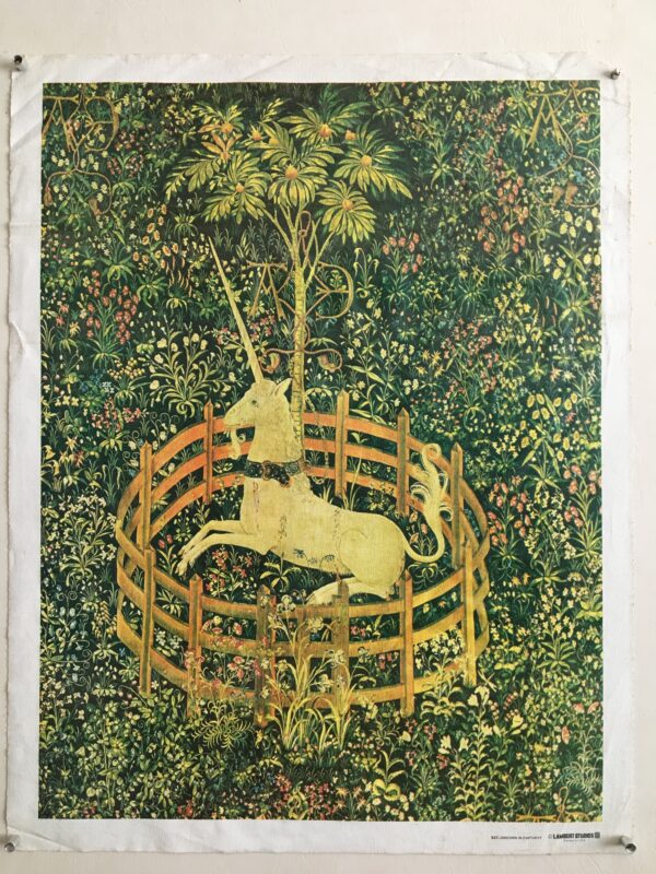 B43   Unicorn in Captivity