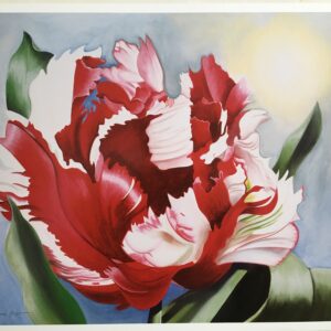 F20  Red and White Flower