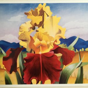 F30   Iris  (yellow-red)