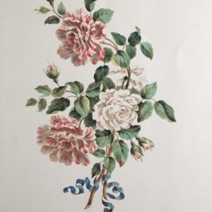 F33   White & Striped Roses