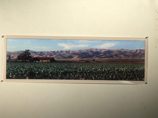 L55   Salinas Valley