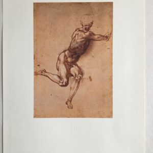 N50   Study of Seated Male Figure  by  Michelangelo