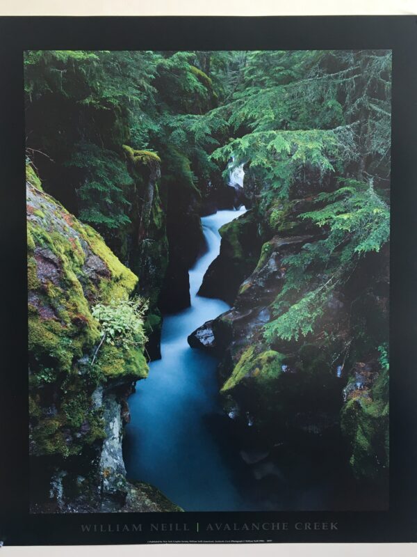 N85  Avalanche Creek  by Neill