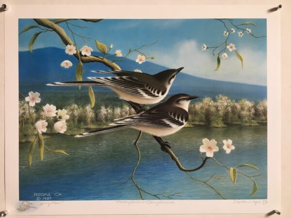 B63    Mocking Birds, Cherry Blossoms