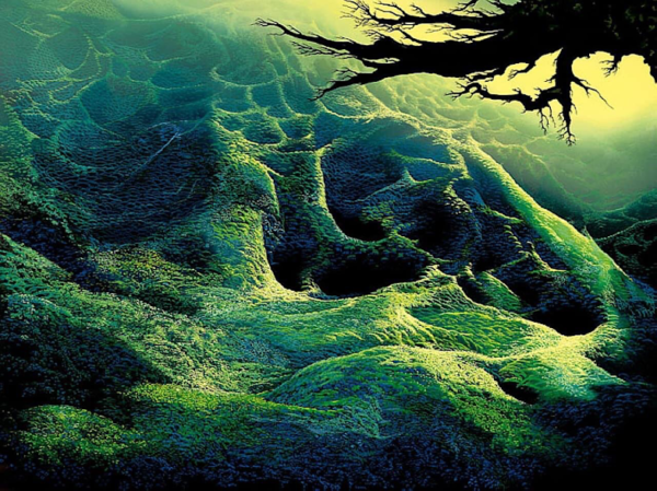 S31   Eyvind Earle     Untitled (Trees)